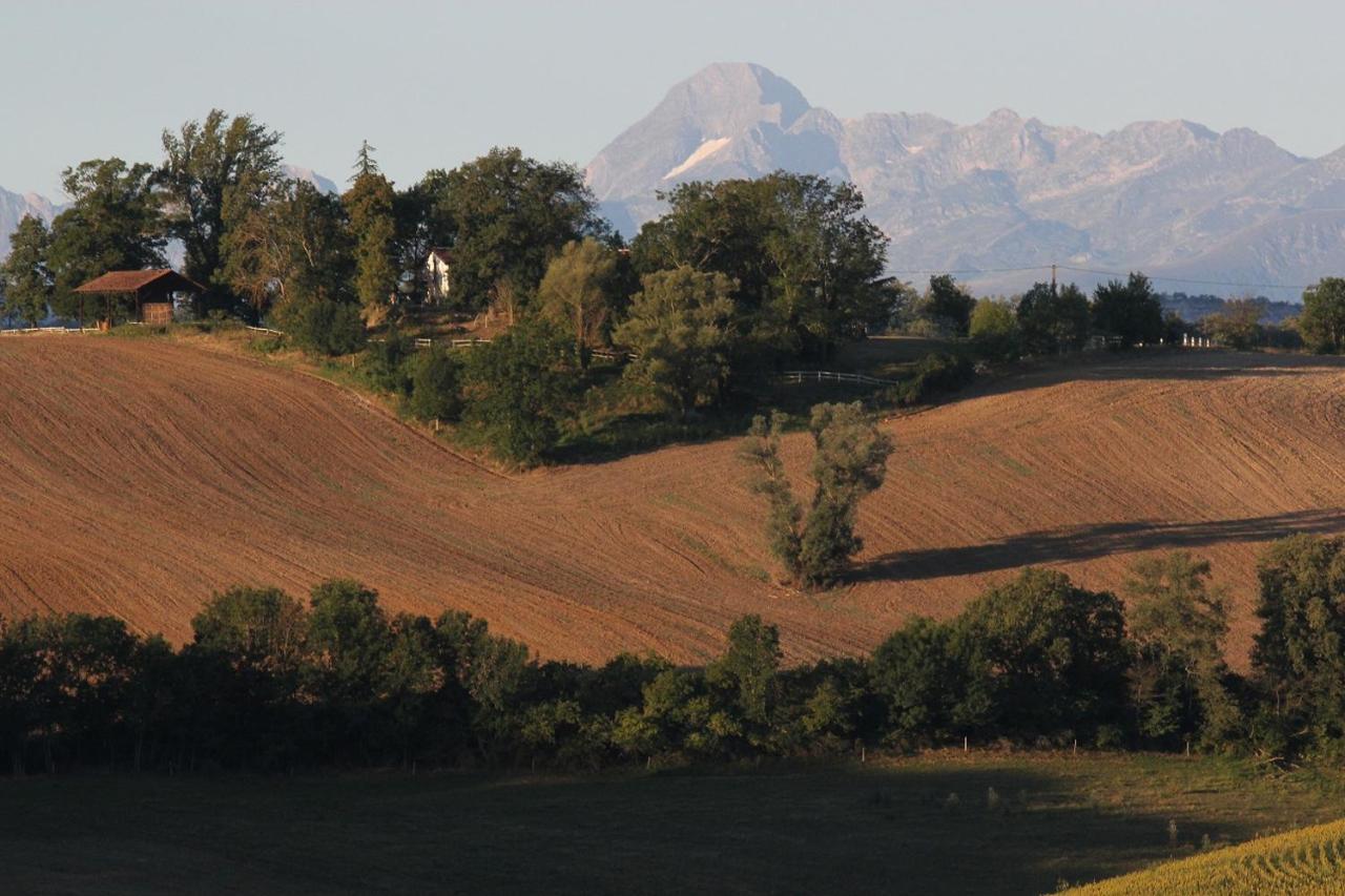 Gite Les Hauts Du Lac Carla-Bayle Esterno foto